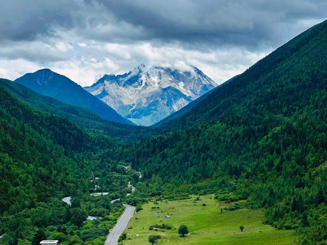 Xi extends condolences over Hong Kong building fire urges allout rescue efforts to minimize losses